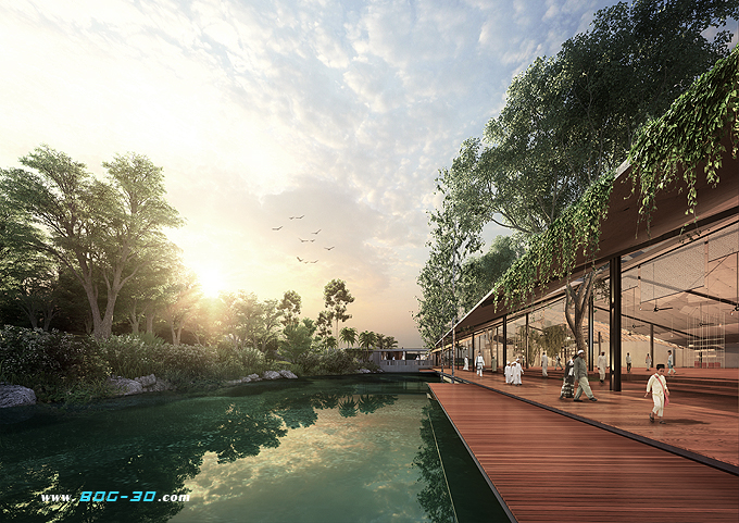 Ч���D����,���I(y��)Ч���D��˾,�ؾ��������p